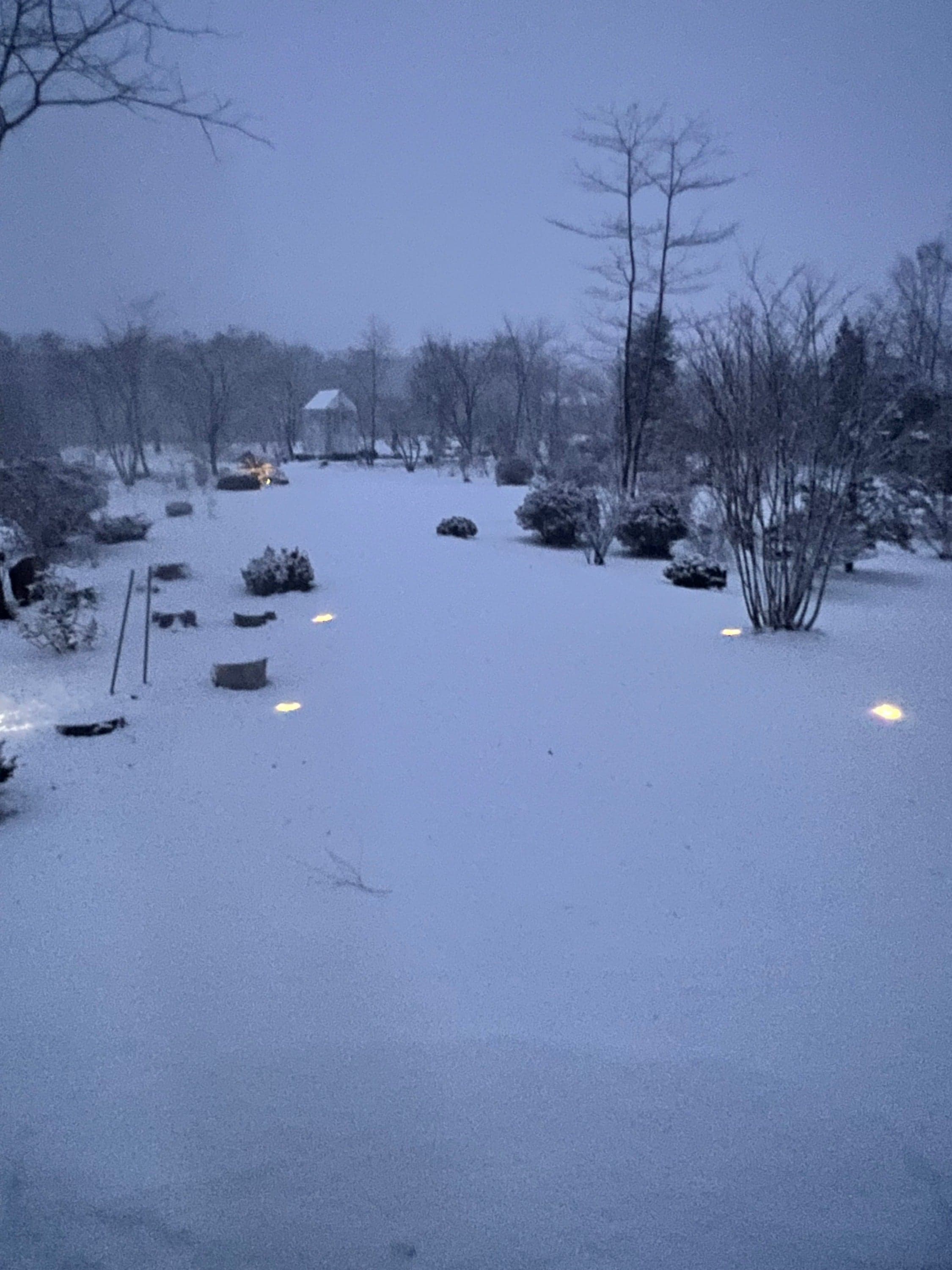 冬、雪景色とライトアップ