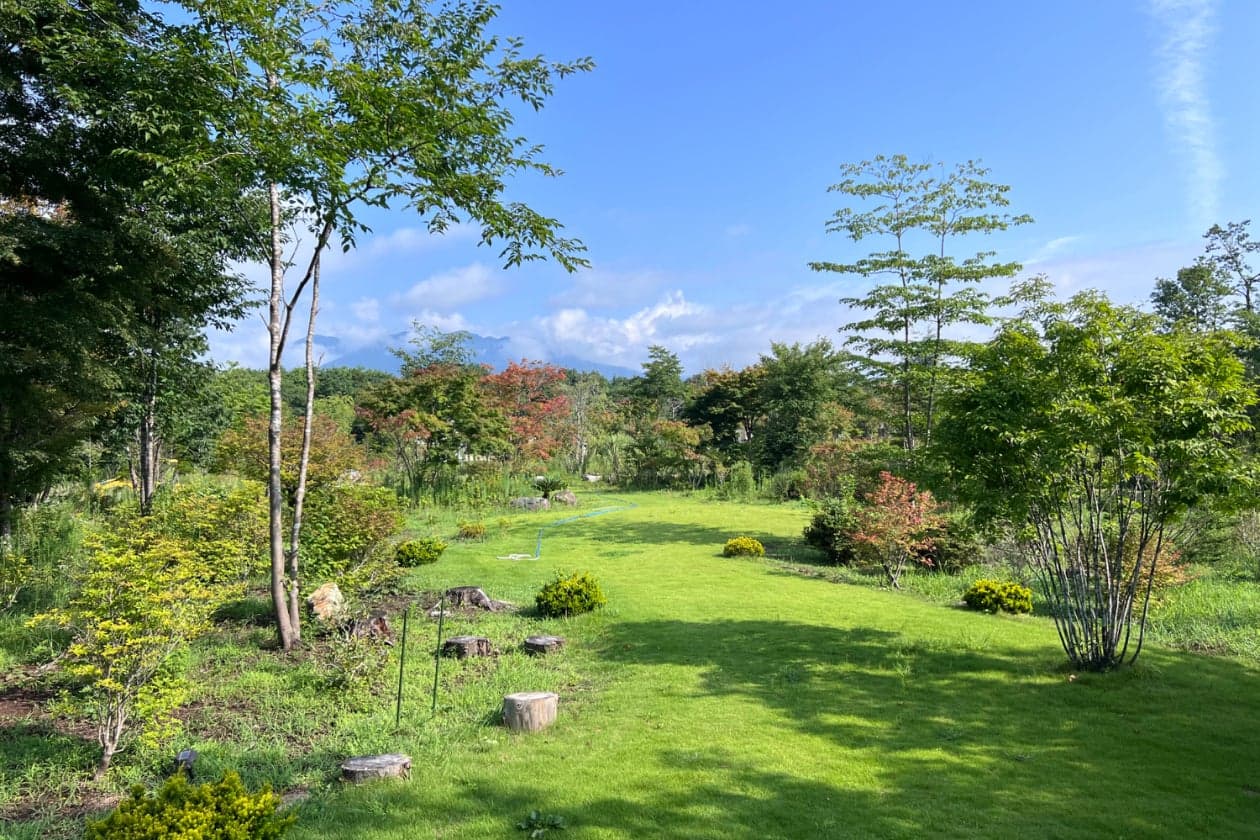 2年以上整えてきた花壇エリアと森